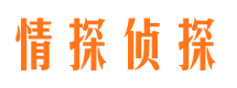 商城侦探公司